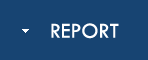 REPORT